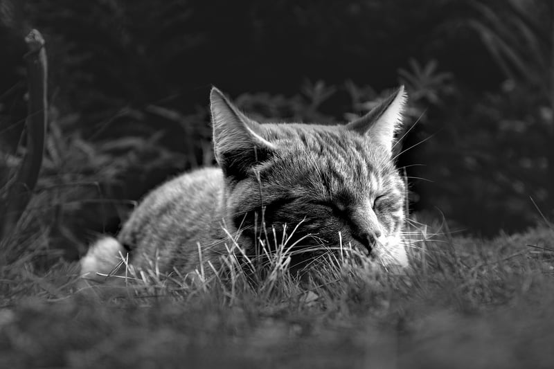 Quality Rest